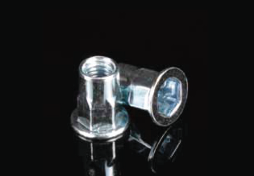 Platte hoofdvierkant Body Blind Rivet Nuts